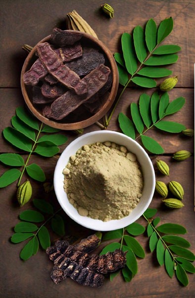 Shikakai Extract